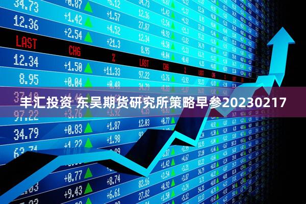 丰汇投资 东吴期货研究所策略早参20230217
