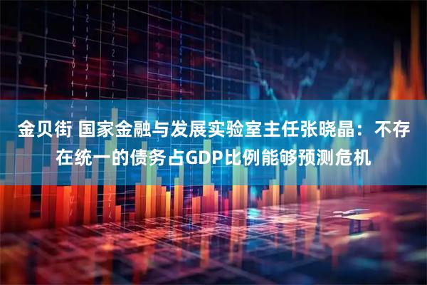 金贝街 国家金融与发展实验室主任张晓晶：不存在统一的债务占GDP比例能够预测危机