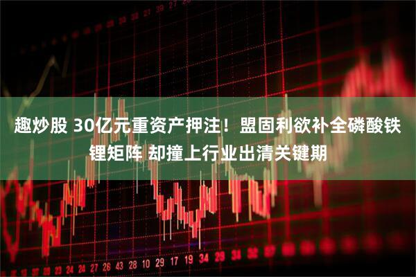 趣炒股 30亿元重资产押注!盟固利欲补全磷酸铁锂矩阵 却撞上行业出清关键期